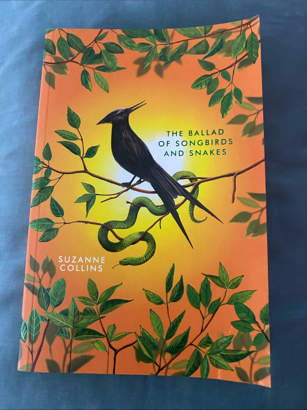 The Ballad of Songbirds and Snakes - Orange Cover